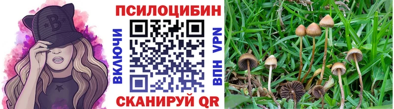 Псилоцибиновые грибы мухоморы Ясный